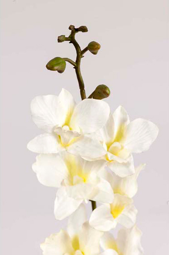 Цветок декор. 150/13 орхидея сингапурская на ветке кремовая