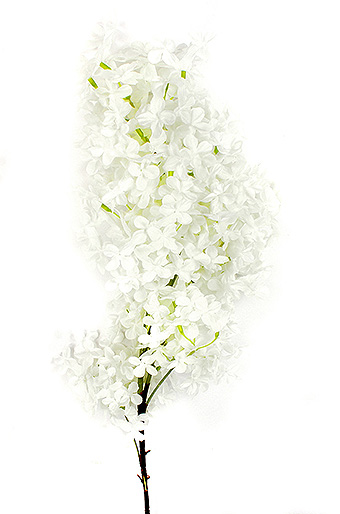Цветок декор. 125/00 мини-цветы кустовые белые